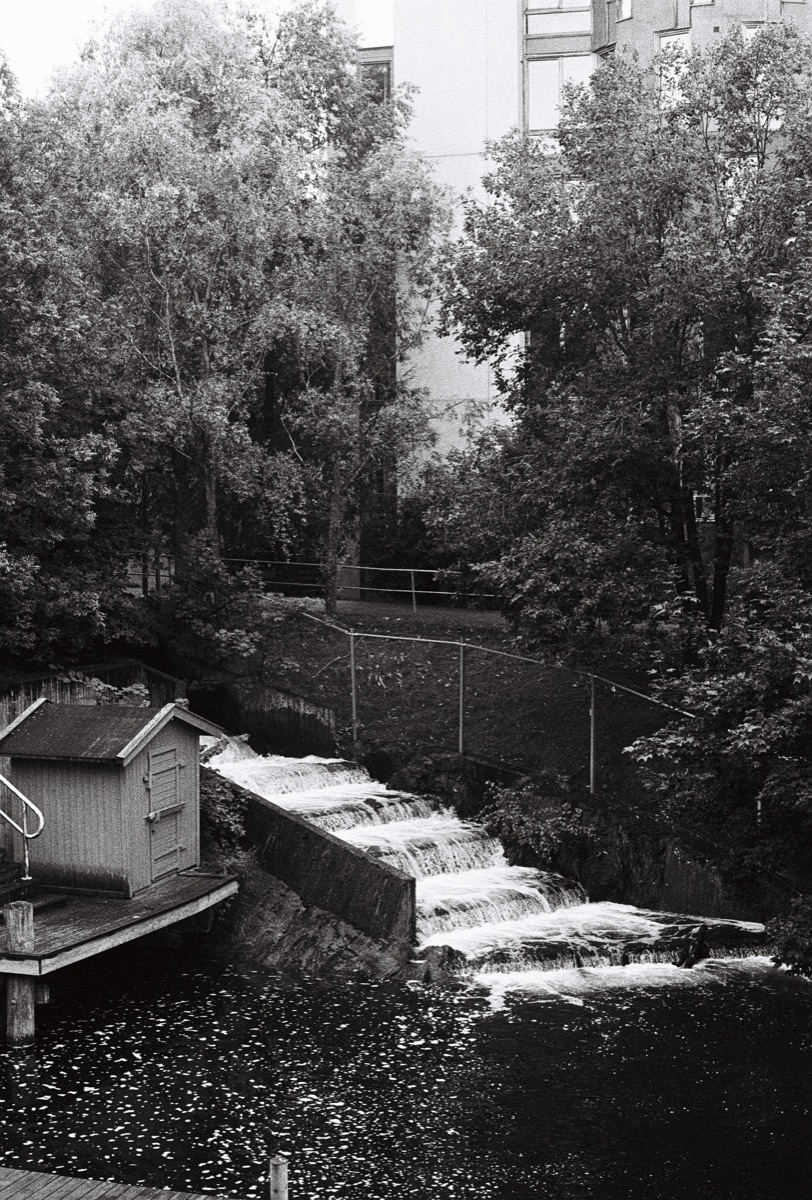 Cascading weir among trees in black and white